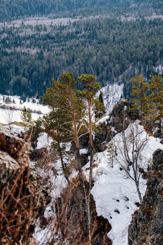 ����-������� ����� � ��������� ������� �������