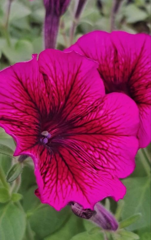 �� ����� � ����, � � �������� ��� ��� ����