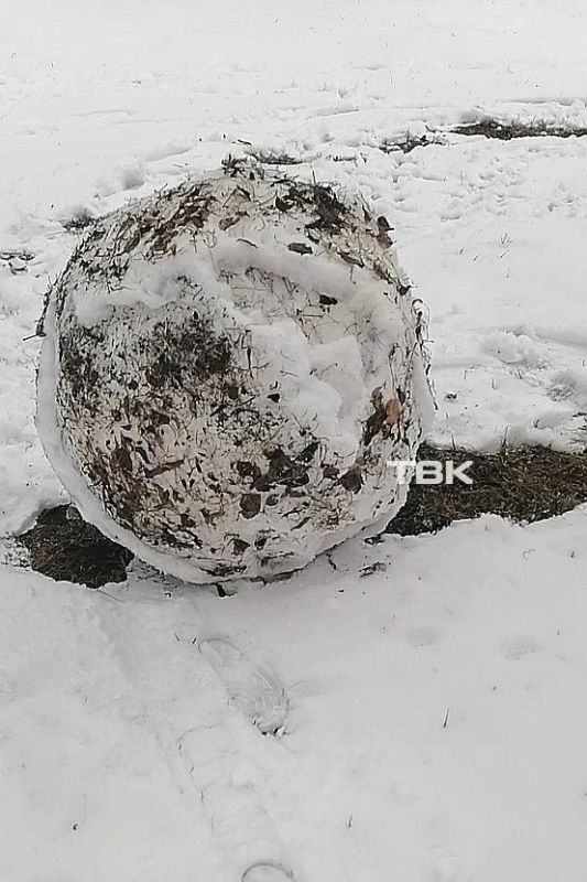 ����� ������, � �� ������� ����� ���������� �� ������������ ���� � ������