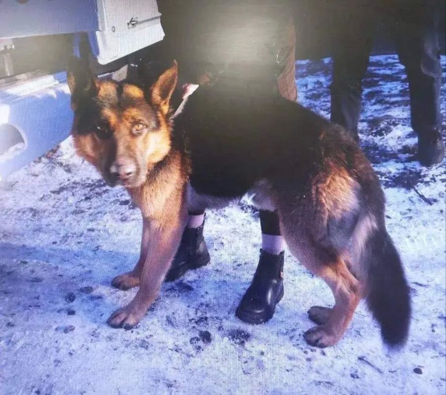 ������� ������� ����������� � ���� �������������� ����� �� ��������� ������ �� ������ � �����������