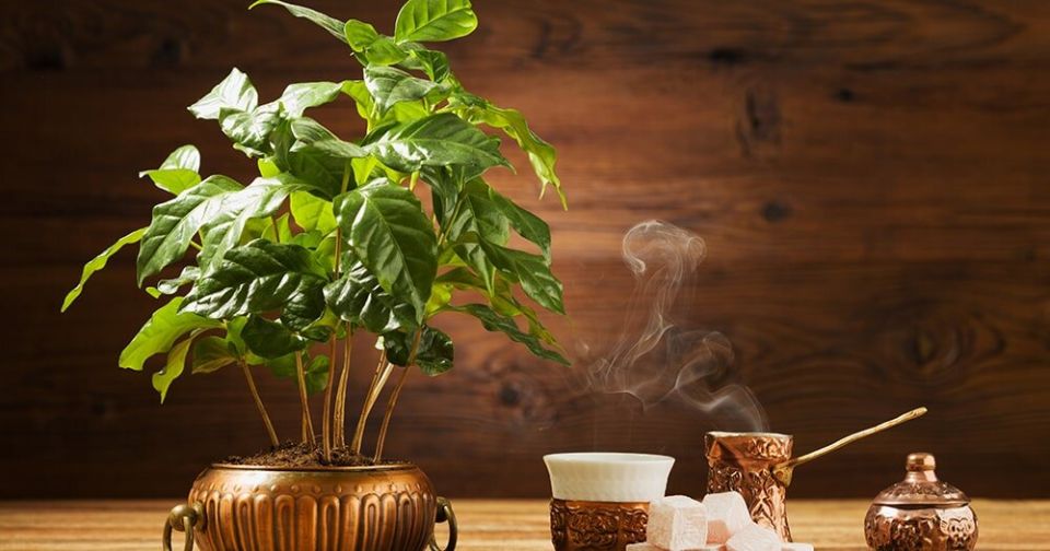 ����������� ��������� ������ � �������� ��������: ��������� �����������