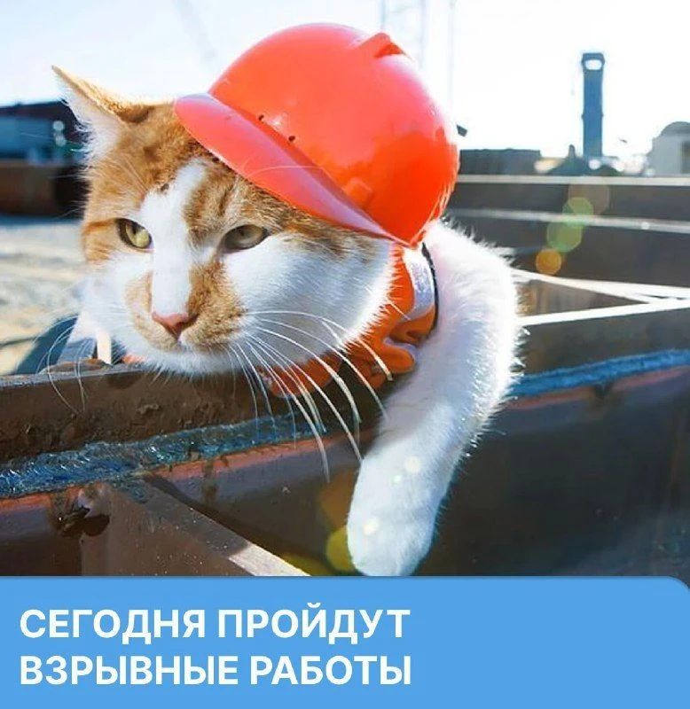 ������� �� ������������� ������������ ������� �������� ������ � 12:00 �� 17:00