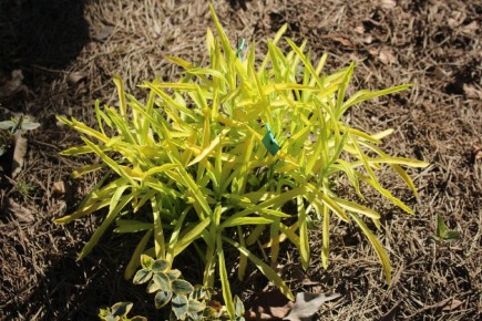 �������� �������: ��� ������������ �������� ��� ������ ������� � ����������