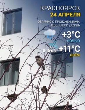 ������� +11