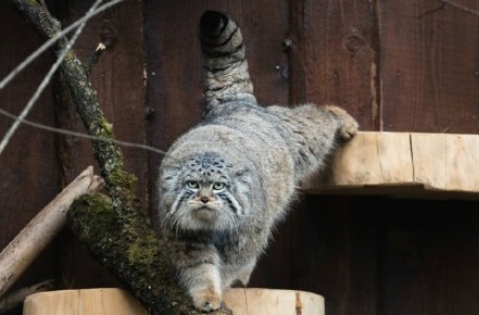 25 ������ � ������������ ������� ����� ������� ������������� ��������� ������