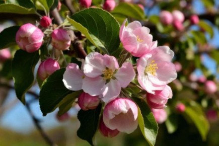 ��������� ������� ����������, ����� ����� ��� � ���������� � �� ��� ������������� ����