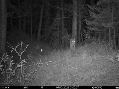 ���� ��������� �� ������������� ������� ������ 20 ���