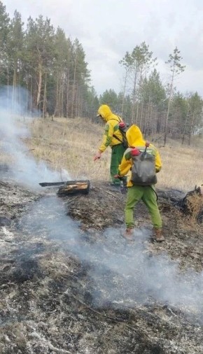 ��� ���� ������ ����� ����� ���� �������� ����������� ������ ��������