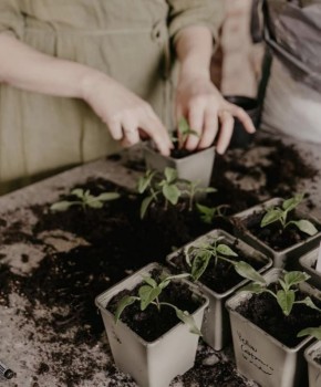 ������ ������� �� ������� �������� �����: ����������� �����