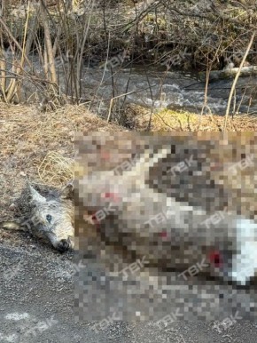 �� ��������� ��������� ������ ���� �� ������� ������� ���: ���� ������ ��������� ���� ����� � ������������ ����� �� �������