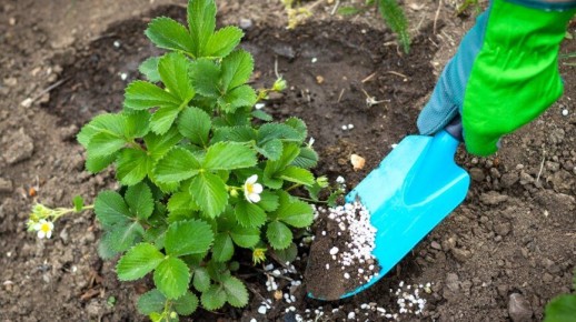 ������� ��������� ����� �� ���������: ��� �������� ������� ������