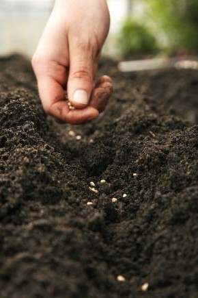 ������� �����: ��� ���������� � ������� ��� ������ �������