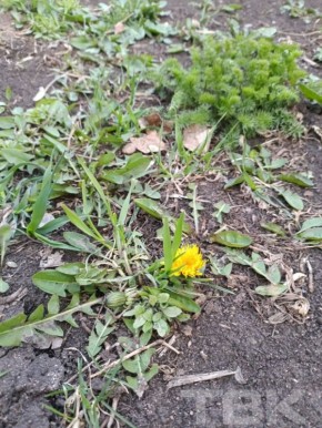 ���������� ����������