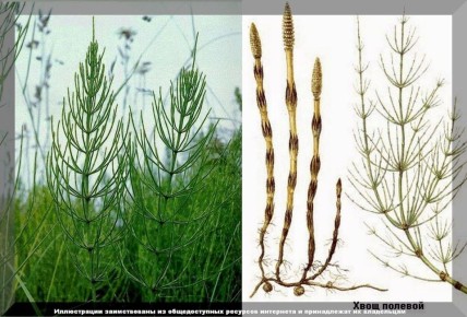 �������: ������ �������� �������� � ����� ������������ ��� ���������