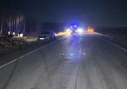 � ����������� ������ ����������� �������� �������������� ��� � ����� ���������