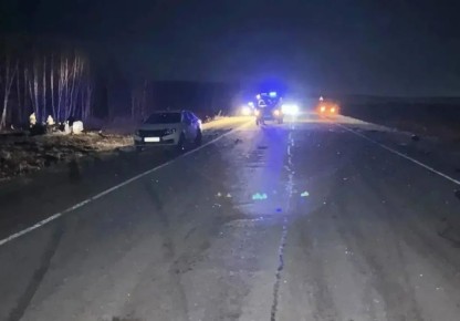 Lada ��������� � ������ � ����������� ������: ��� �������� �������