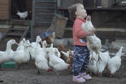 �������� ���������������: �������� ��������� ������� �������� ��� �� ��������