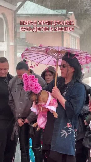 ��������� �������� � ������ �������� ����������� ���������!