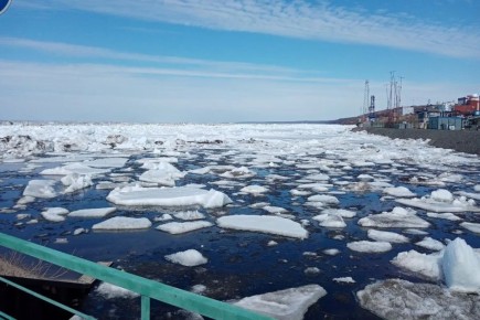 � ������������ ���� �� ����� ������� 61 ������� ��������� � �������