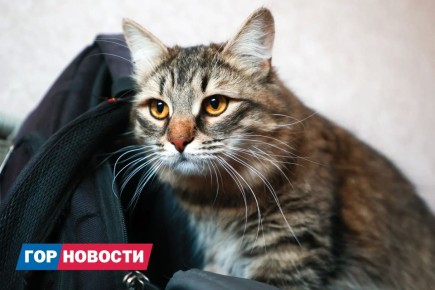 �� ������ ������������������ � ������������ ���� ��������� ������ ��-�� ����