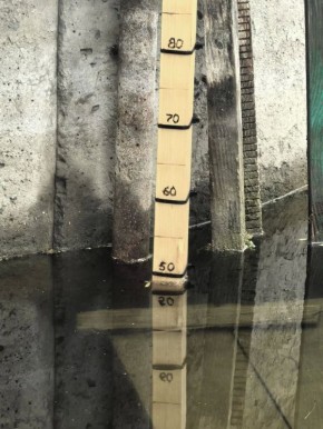 � ����������� ���� ����������� ������� ���������� ������ ������� ���� � "��������� ������"