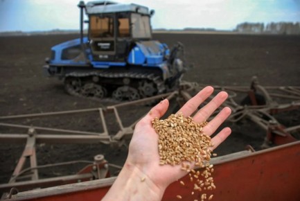 � ������������ ���� ������� ���������� � ��������� ����