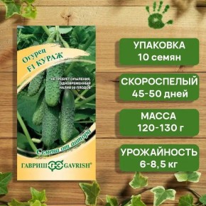 ������ ����� F1: ��������� ����� ��� �����������