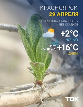 ������� +16