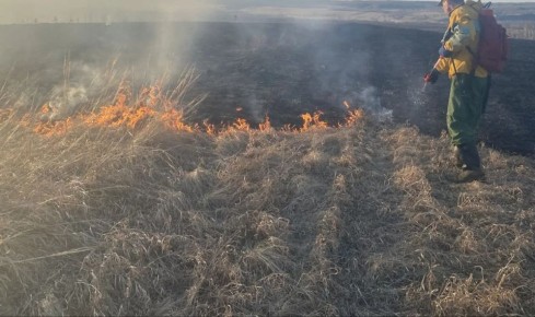 ������ ������� ����� �� ����!