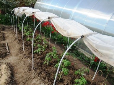 ������� �������� ��������� ������� � �������� ����� ��� ����������