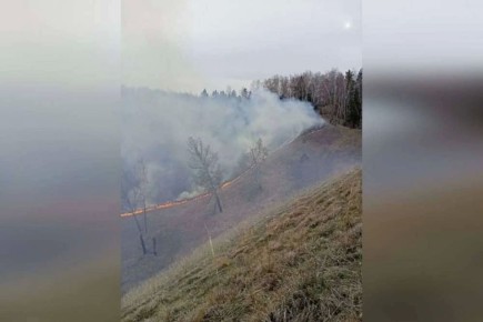 � ����������� ����������� �������� ��� ������� ������