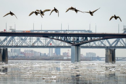 ���� ������: ������� �� ������