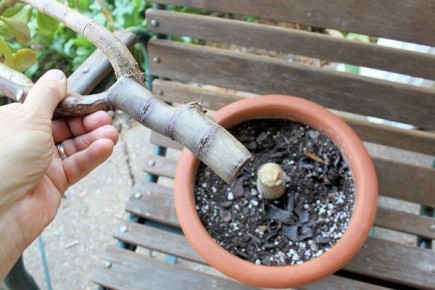 ������� ������� ��������� ������: ��� ������ ���������� ��������� ��������