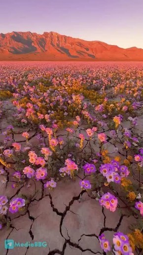 ������� �������.. � ������������ ������� � ������ � ����������, ��������� ��� ������ ������, ����������� ������ ����� �������� ������ ��� ���������� �������� ��� � 10 ���