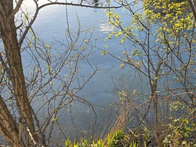 ����� �������� ����������: ��������� � �������� � ������ ����� ����� ����