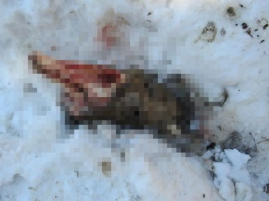 � ��������� ������ �������� ���������� ��������� ���� �� ���������� ����� �� ���������� ������