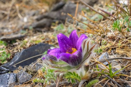 ��������� � ��������� �������� ��������