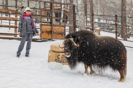 �������� ����� �� �������� ������ ����������� ��� ����