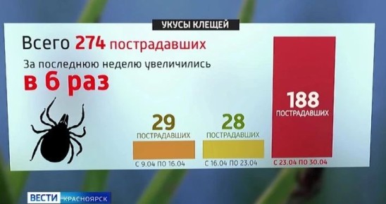 � 6 ��� ������� ���������� ������������ �� ������ � ����