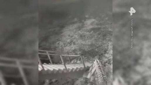 � ���������� ���� ������ ������������� �������� ���� ������� ������ � �������� �������