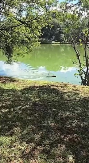 ���� � ����� �� ����������� �������