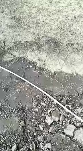 ����� ��������� 14 ����� � ���� ������������� ����: ��� ����� �������� 38 �������