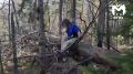 ���������� �� "�������" ������� ���� ����� ��� ������