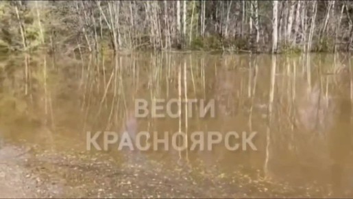 � ��������� ������ ����� � �������� ������ ��������� ���� �����