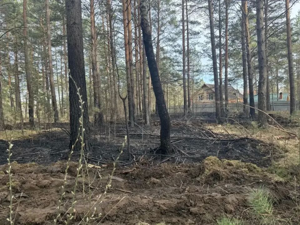 В Минусинском округе работник турбазы устроил пал травы в лесу