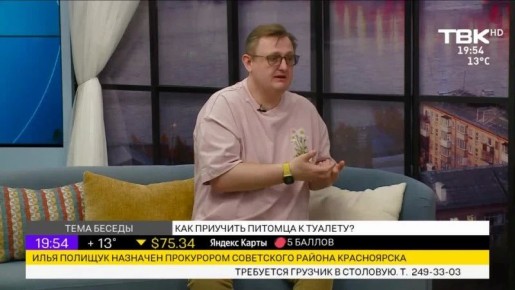 ������ �������� ��� �������� � 20:00