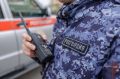 � ���� ���������� ���������������� ������ ���������� ���������� �� ������������� ���� ���������� ��������� � ������� ������ 6-������� ��������, ���������� �� ����� ��������