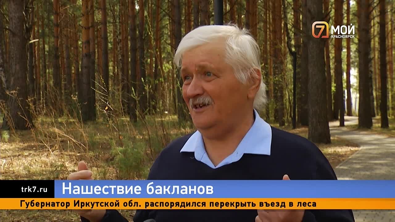 Енисей вот-вот останется без рыбы из-за нашествия бакланов
