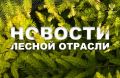 Аргументы и Факты: На Алтае за «черными лесорубами» будут следить из космоса