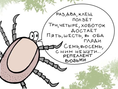 Клещи укусили 1 355 жителей Красноярского края за неделю